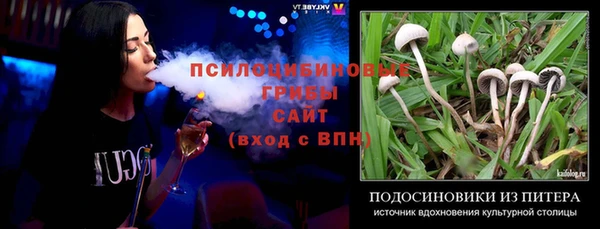 спиды Аркадак