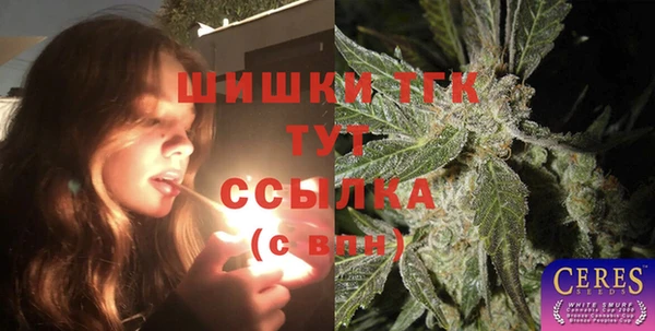спиды Аркадак