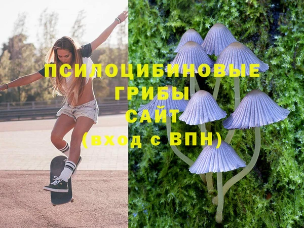 гашик Армянск