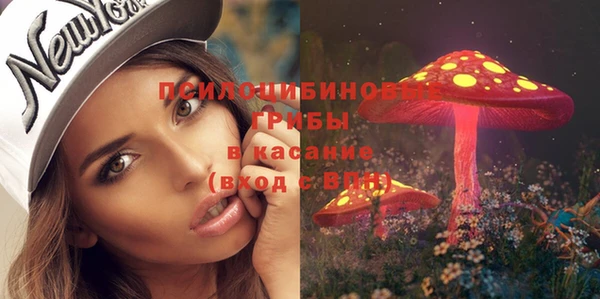 спиды Аркадак
