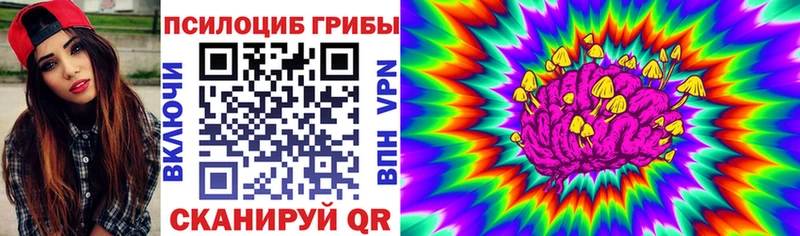 Псилоцибиновые грибы ЛСД  Полысаево 